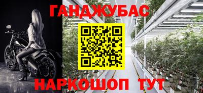 дмт Новодвинск
