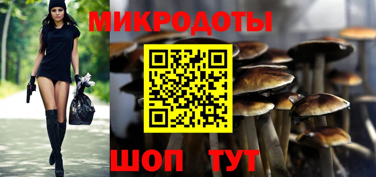 Галлюциногенные грибы мухоморы Торжок